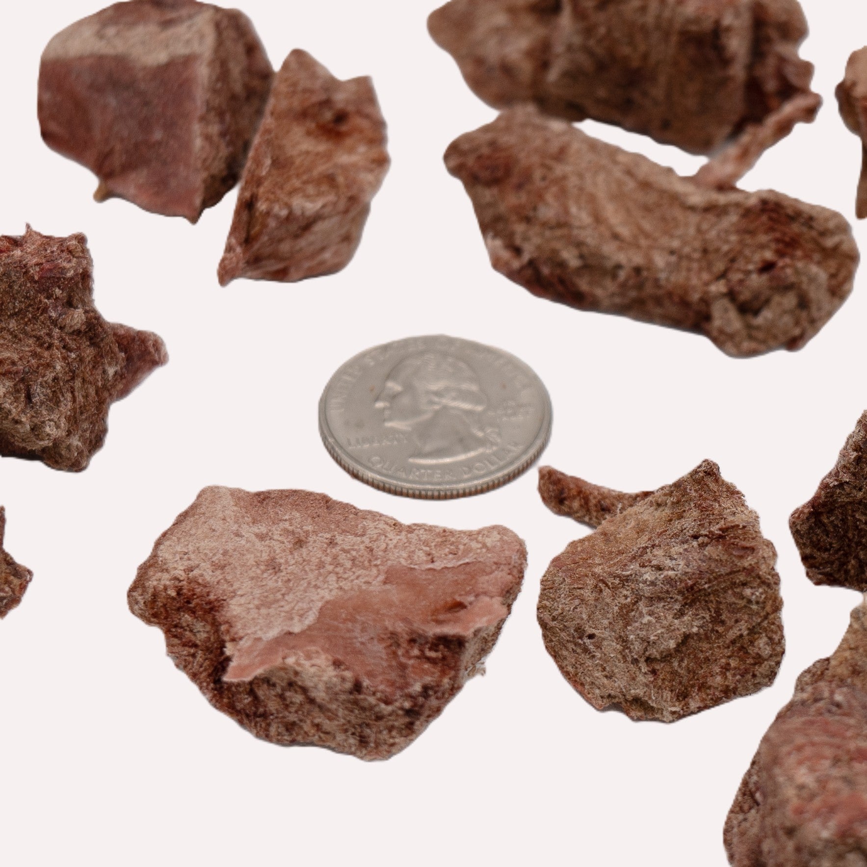 Simplified Freeze Dried