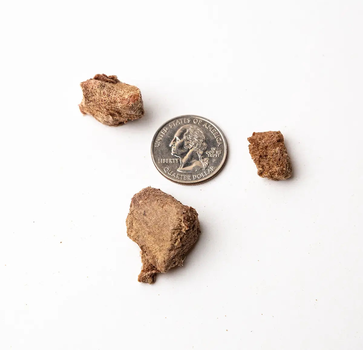 3 beef treats that vary in size but are all the size of or smaller than a quarter shown for scale.