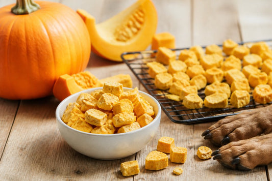 5 Best Freeze Dried Pumpkin Treats for Dogs in 2026