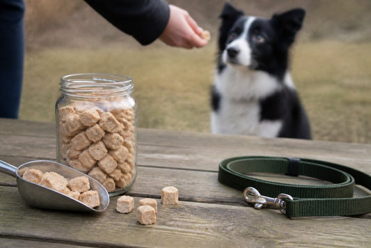 Benefits of Freeze Dried Dog Treats for Training