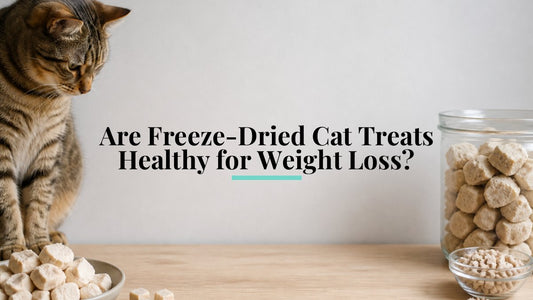 Are Freeze-Dried Cat Treats Healthy for Weight Loss?