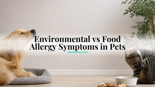 Environmental vs Food Allergy Symptoms in Pets