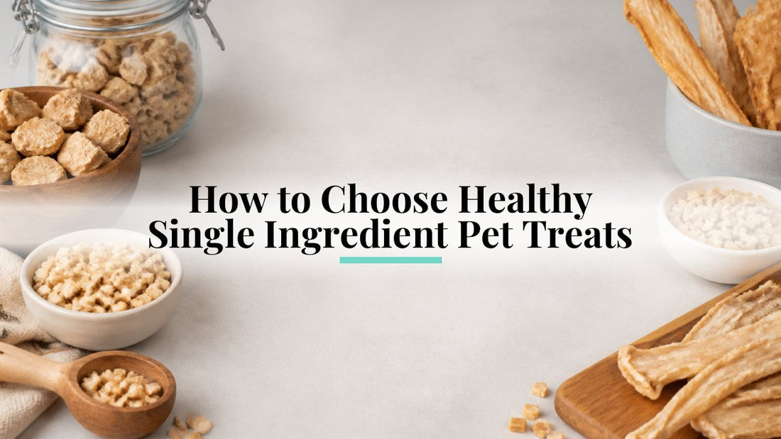 How to Choose Healthy Single Ingredient Pet Treats