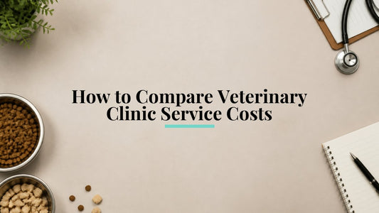 How to Compare Veterinary Clinic Service Costs