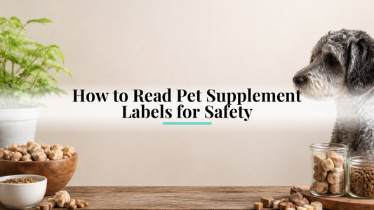 How to Read Pet Supplement Labels for Safety