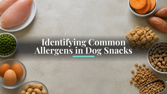 Identifying Common Allergens in Dog Snacks