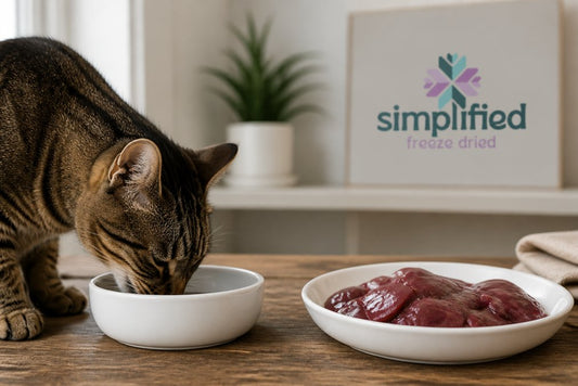 Is Beef Liver Good for Cats With Sensitive Stomachs?
