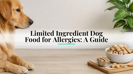 Limited Ingredient Dog Food for Allergies: A Guide