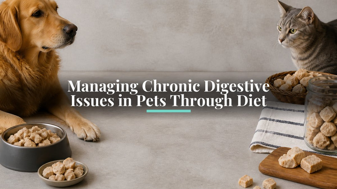 Managing Chronic Digestive Issues in Pets Through Diet