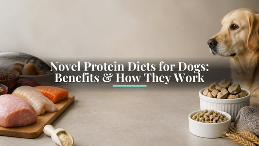 Novel Protein Diets for Dogs: Benefits & How They Work
