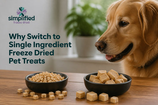Why Switch to Single Ingredient Freeze Dried Pet Treats