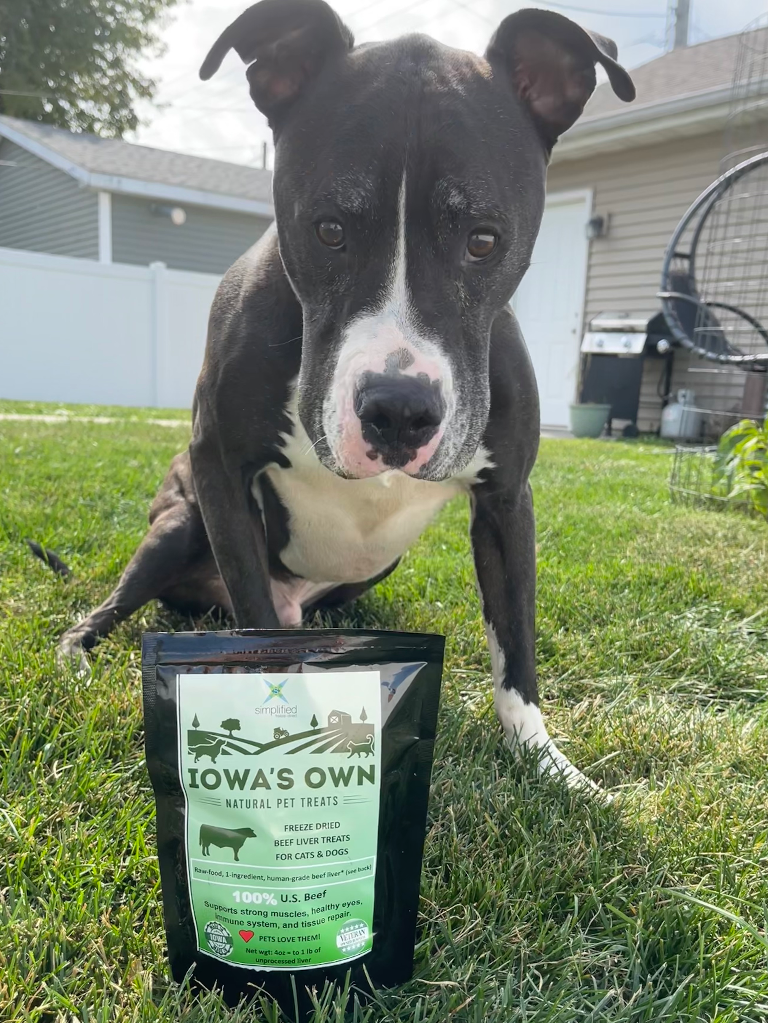 Simplified Freeze Dried