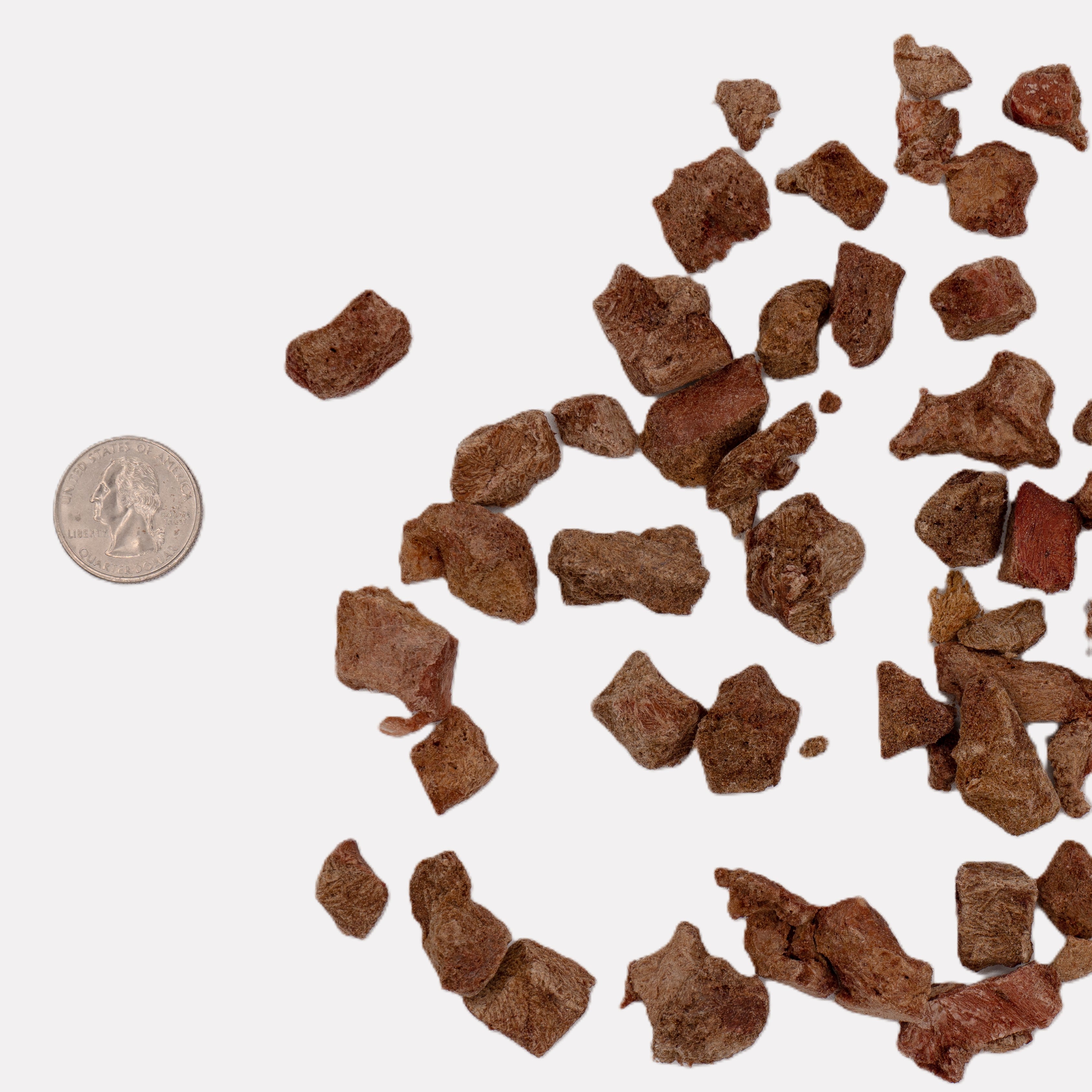 Simplified Freeze Dried