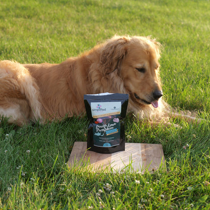 Simplified Freeze Dried Pumpkin Biscuits Treats for Cats & Dogs