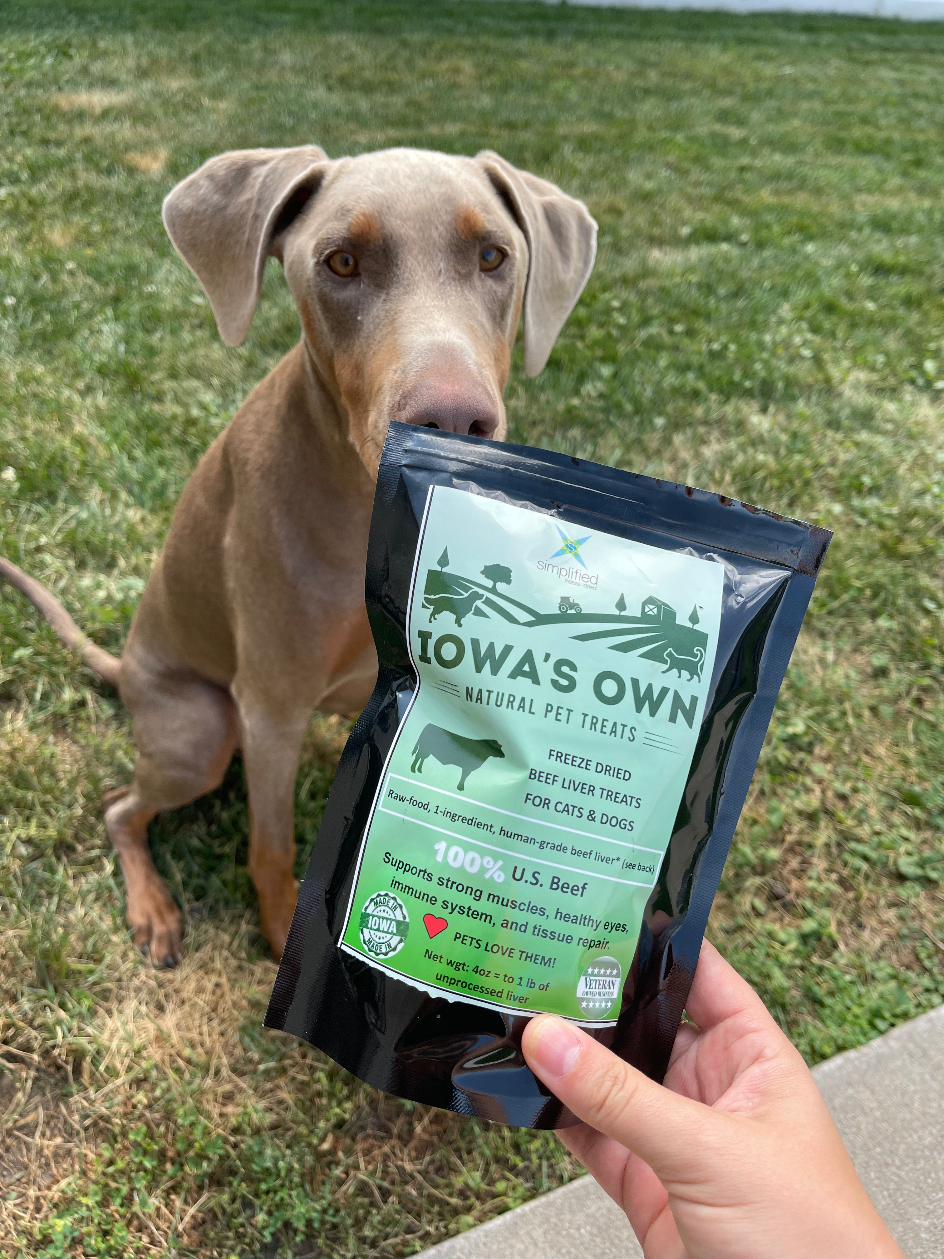 Simplified Freeze Dried